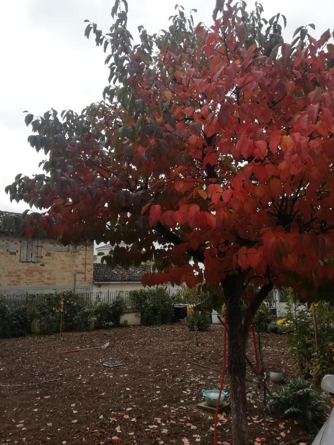 La Nuova Dimora B&B LʼAquila Esterno foto